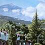 orotava-jardines